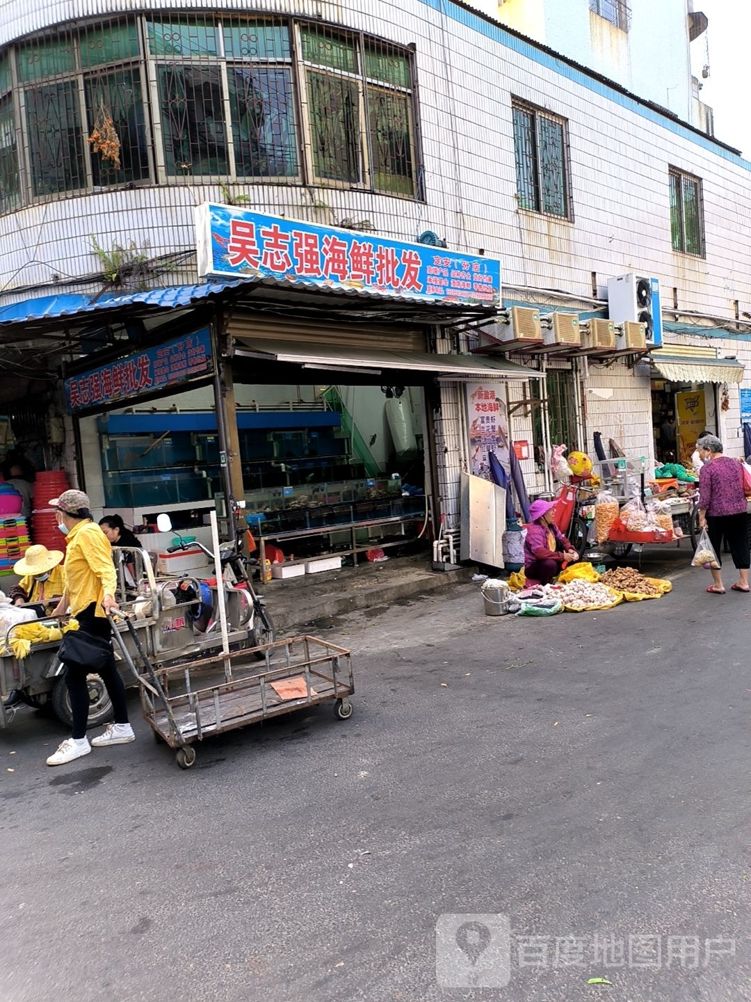 吴志强海鲜批发(定安分店)