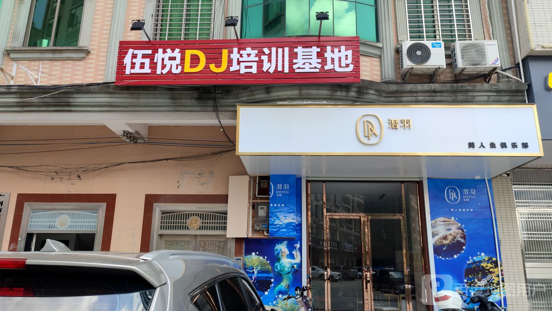潜羽美人鱼俱乐部