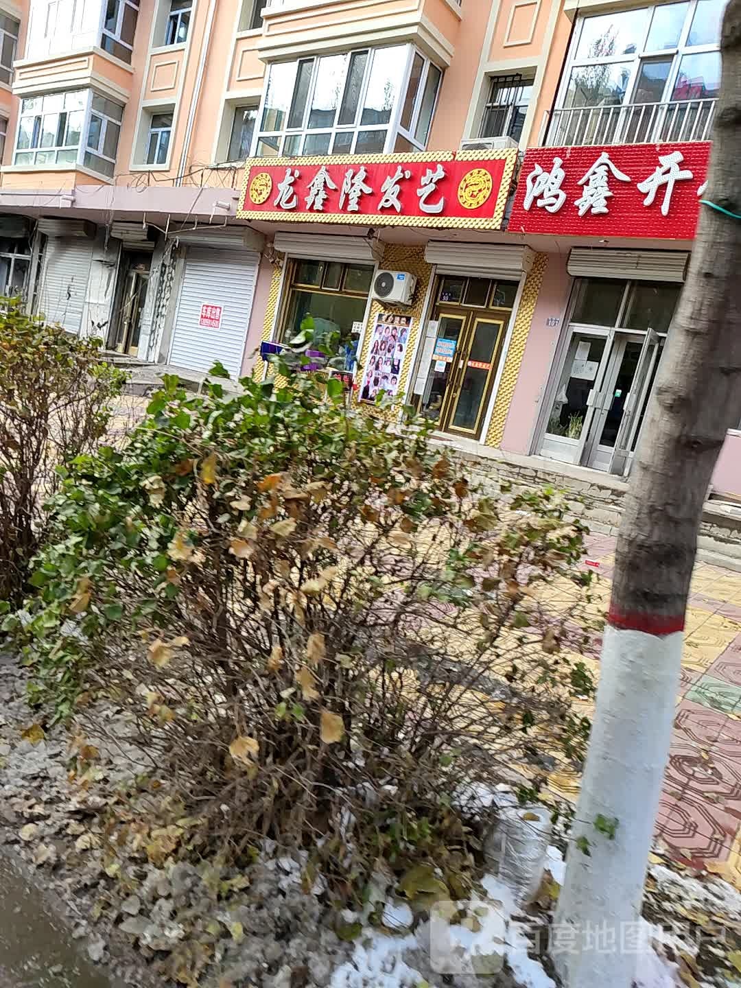 龙鑫龙发艺