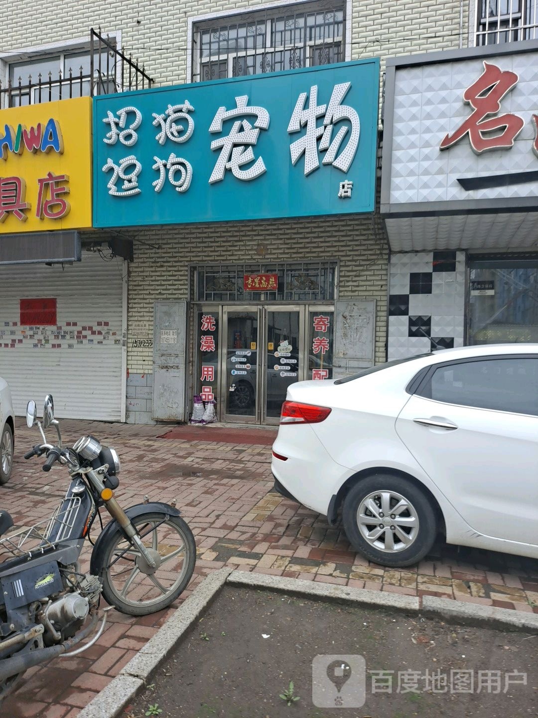 招猫逗狗宠物店