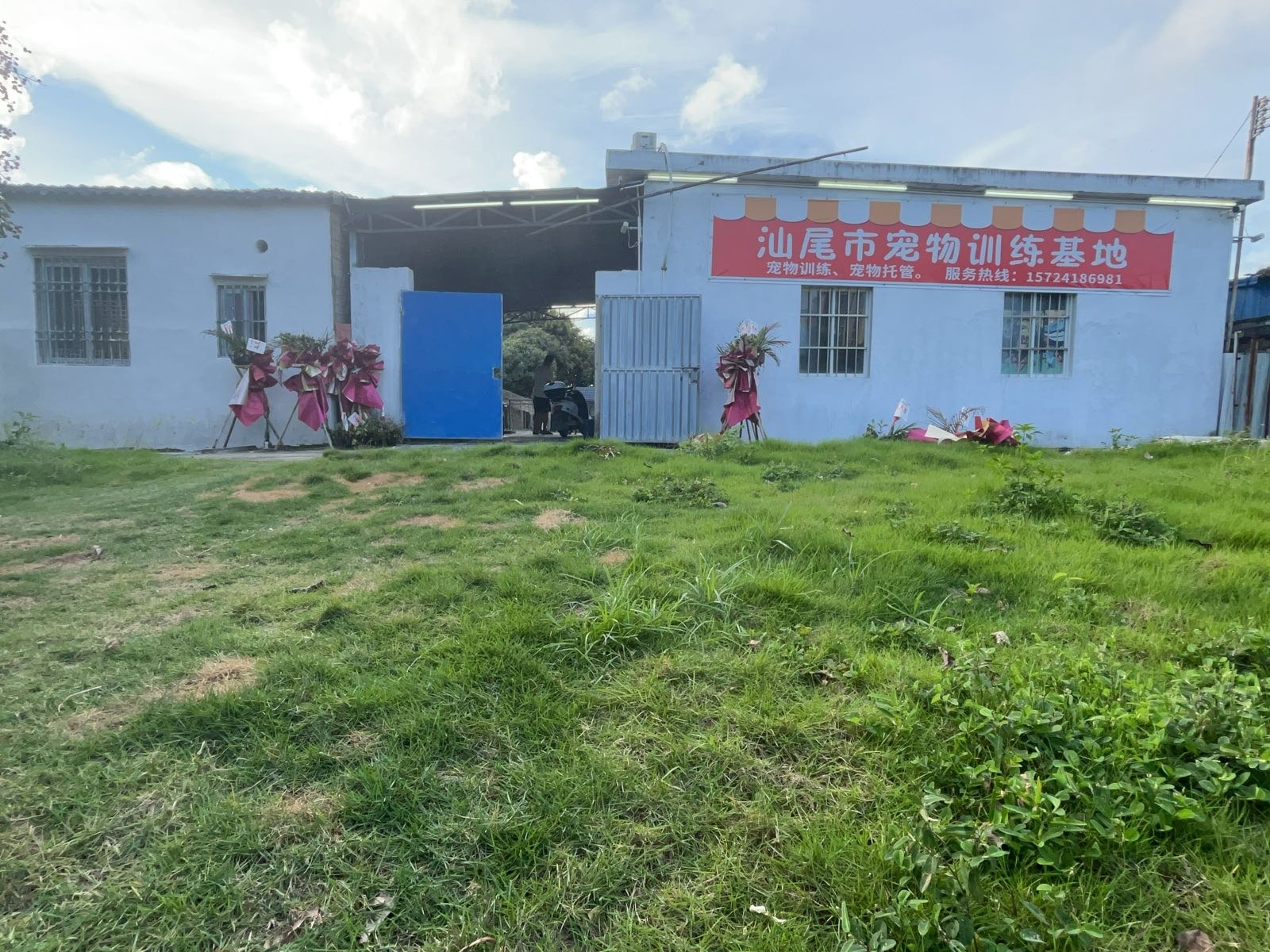 汕尾市宠物训练基地