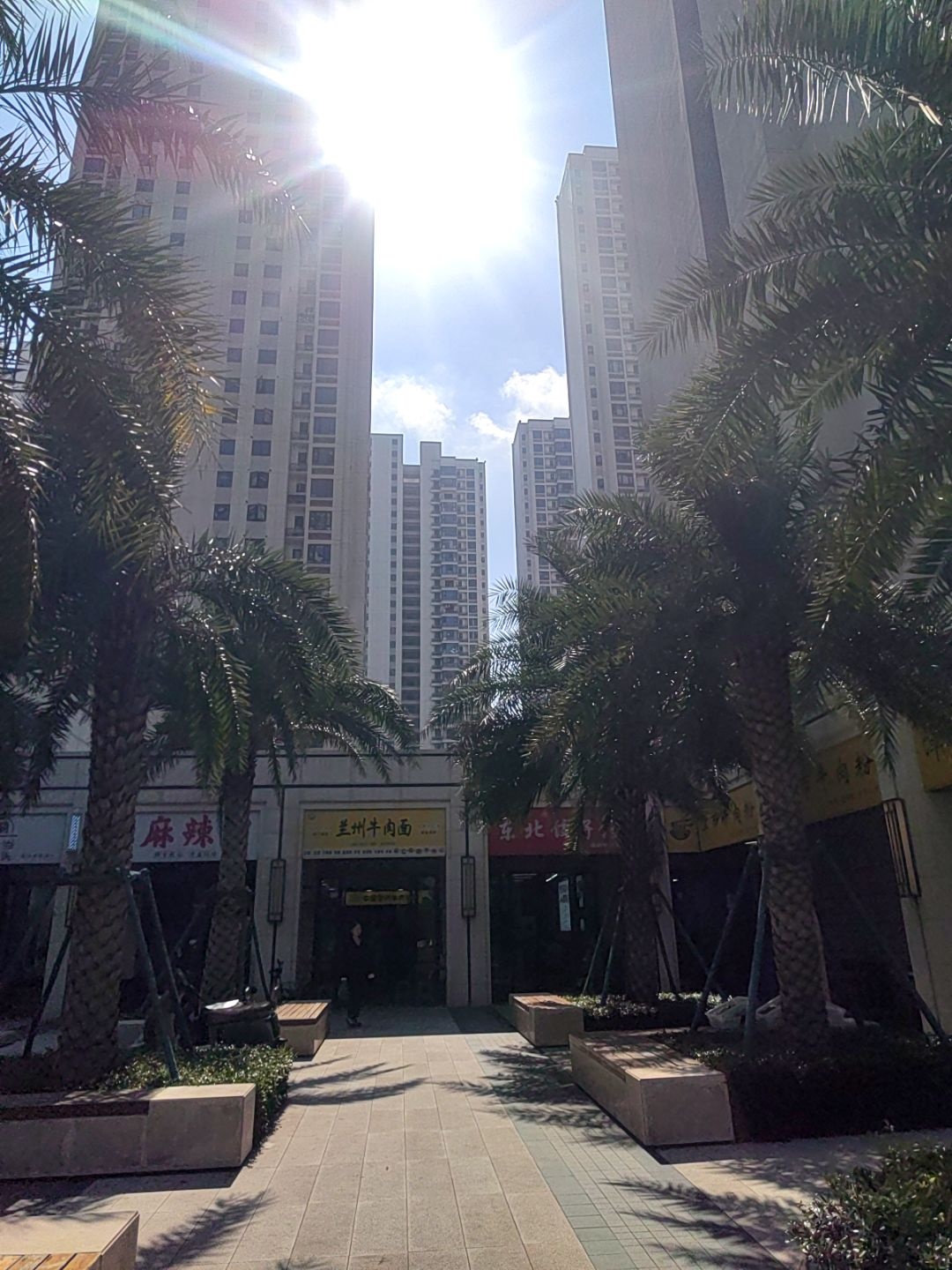 清真兰州牛肉面(保利·中环广场店)