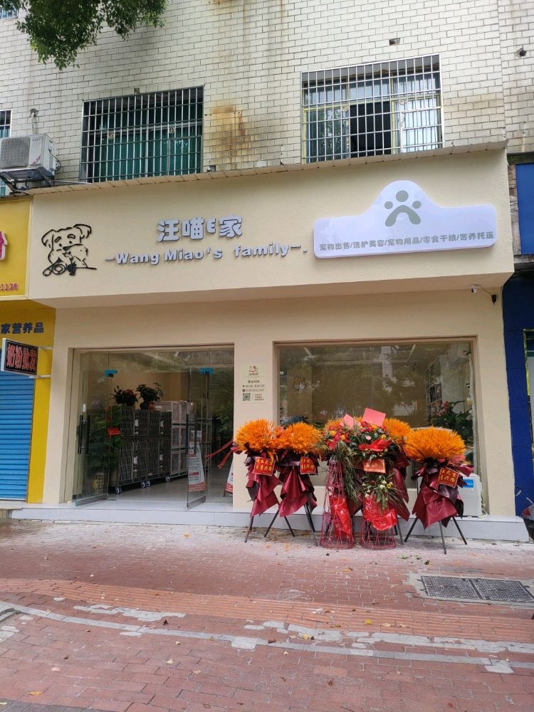 汪喵E家
