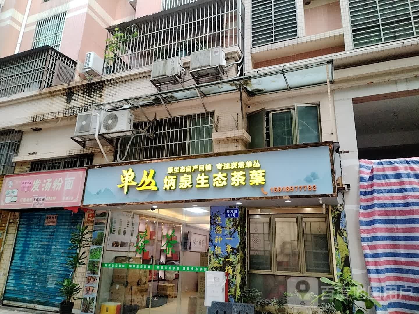单丛炳泉生态茶叶