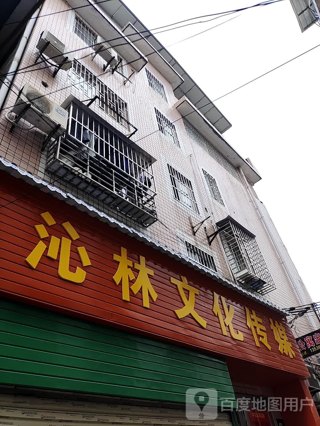 沁林文化传媒
