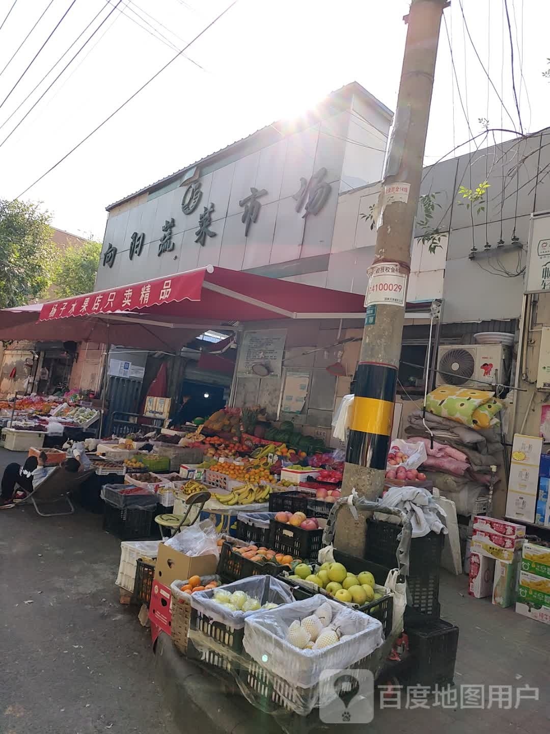 向阳菜市场