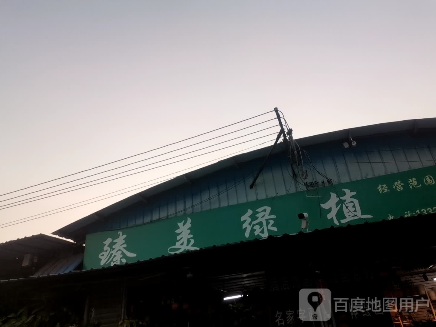 臻美绿植