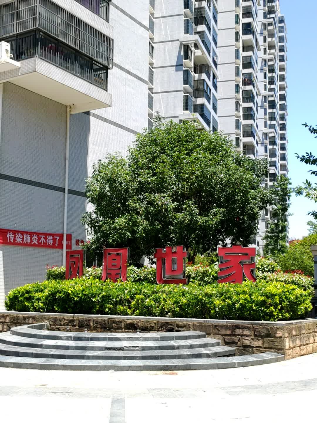 凤凰世家