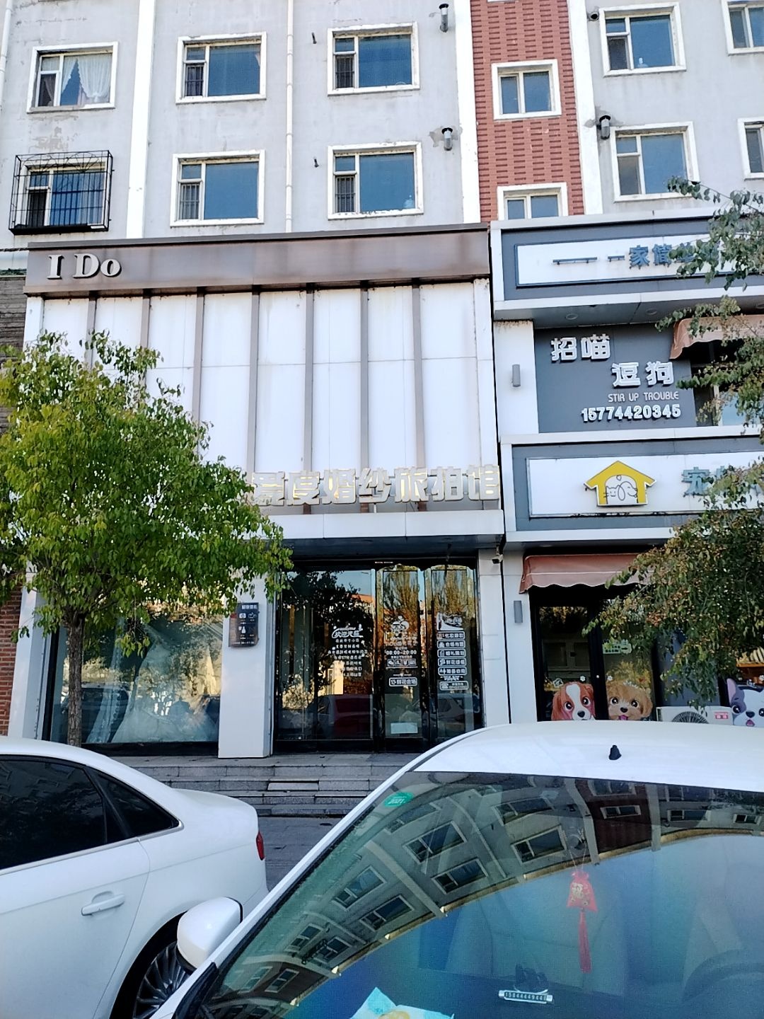 招猫逗狗宠物店