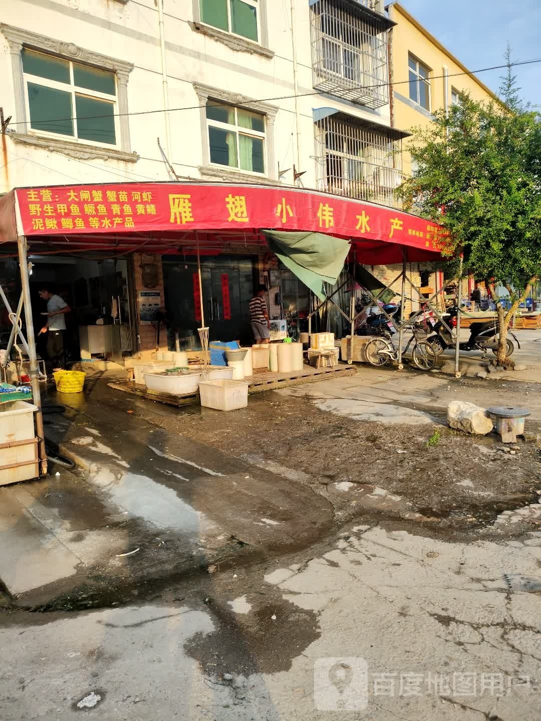 雁翅小伟水产红