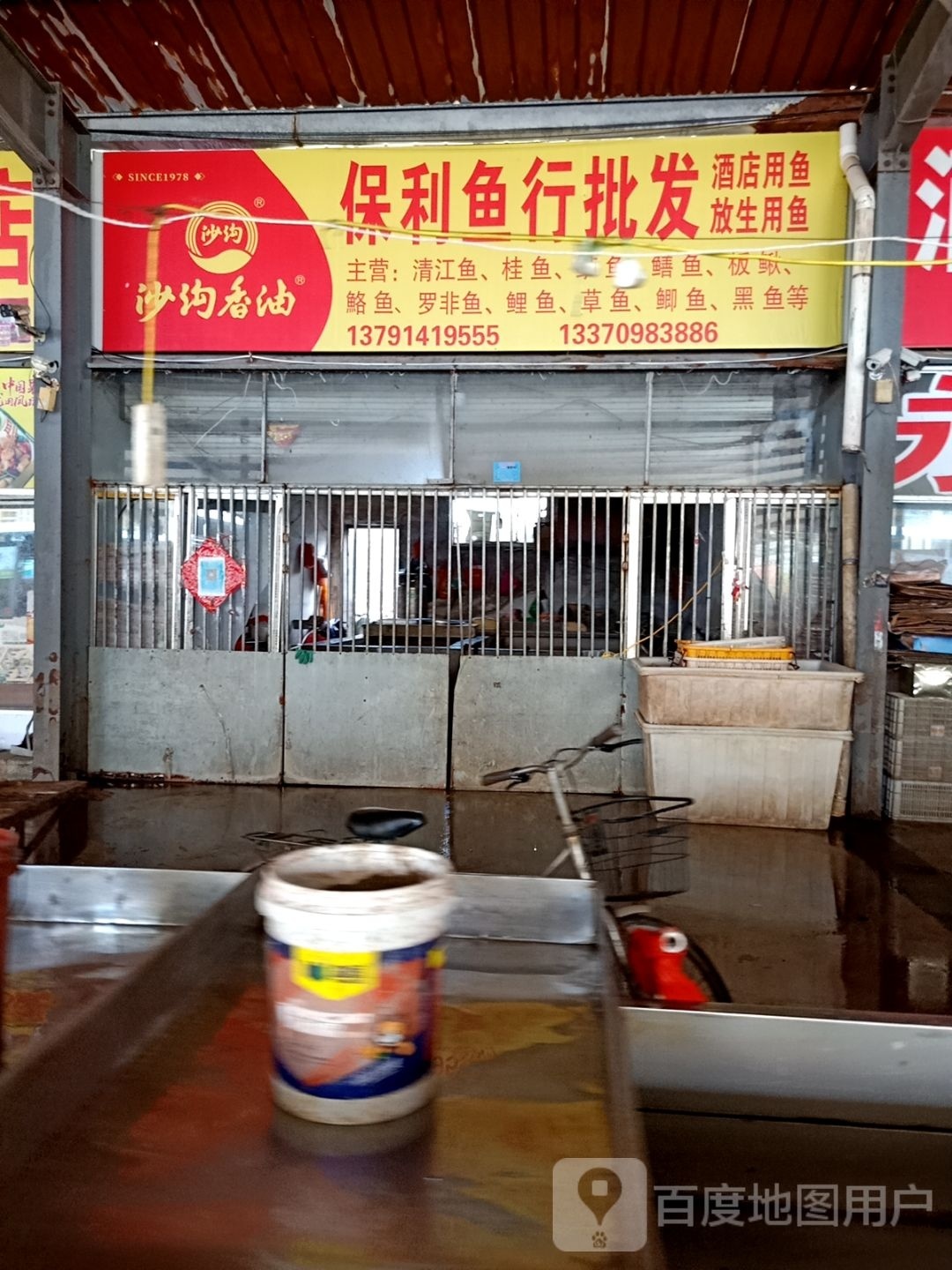 保利鱼行批发