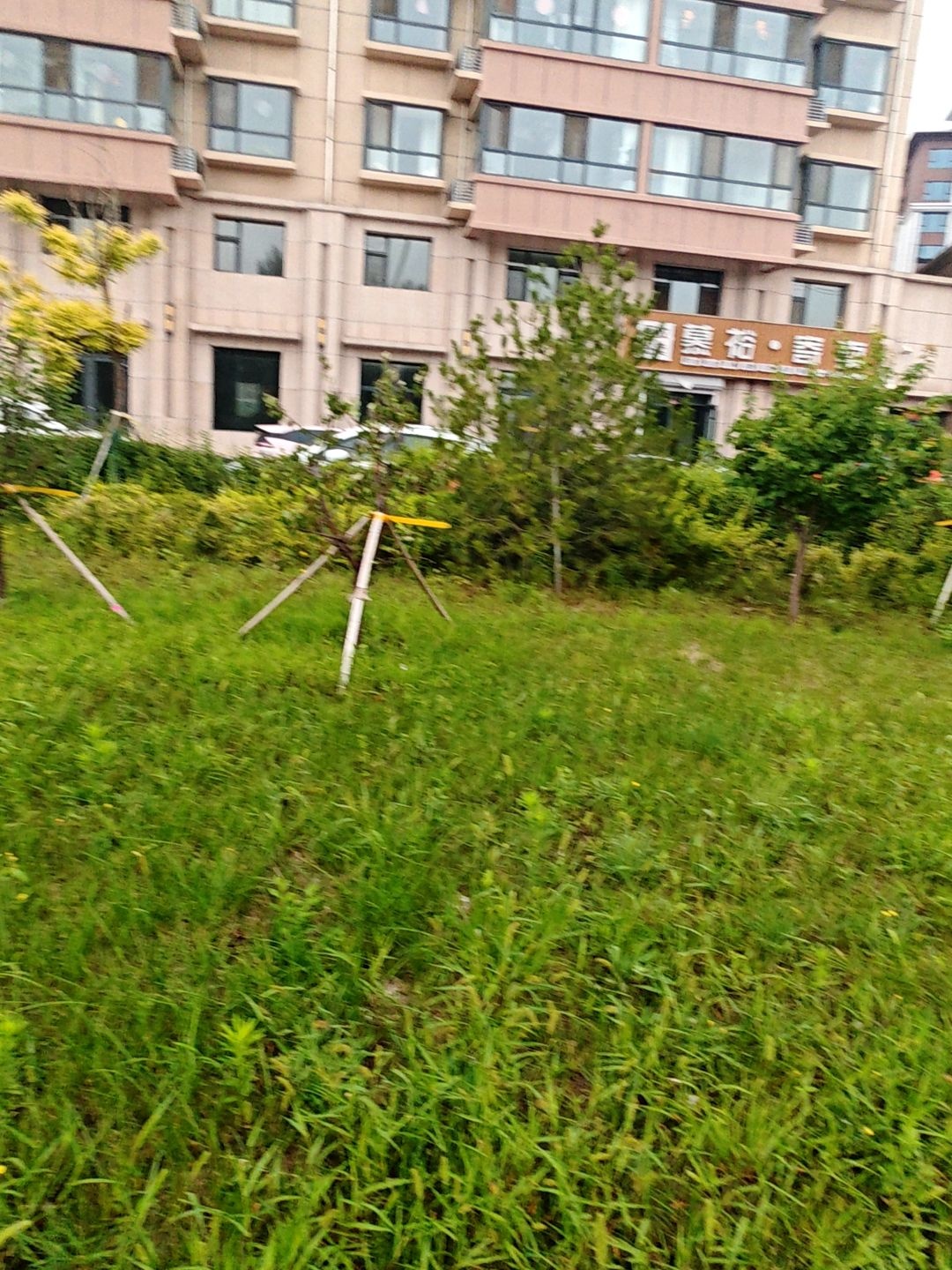 慕裕·奢卖
