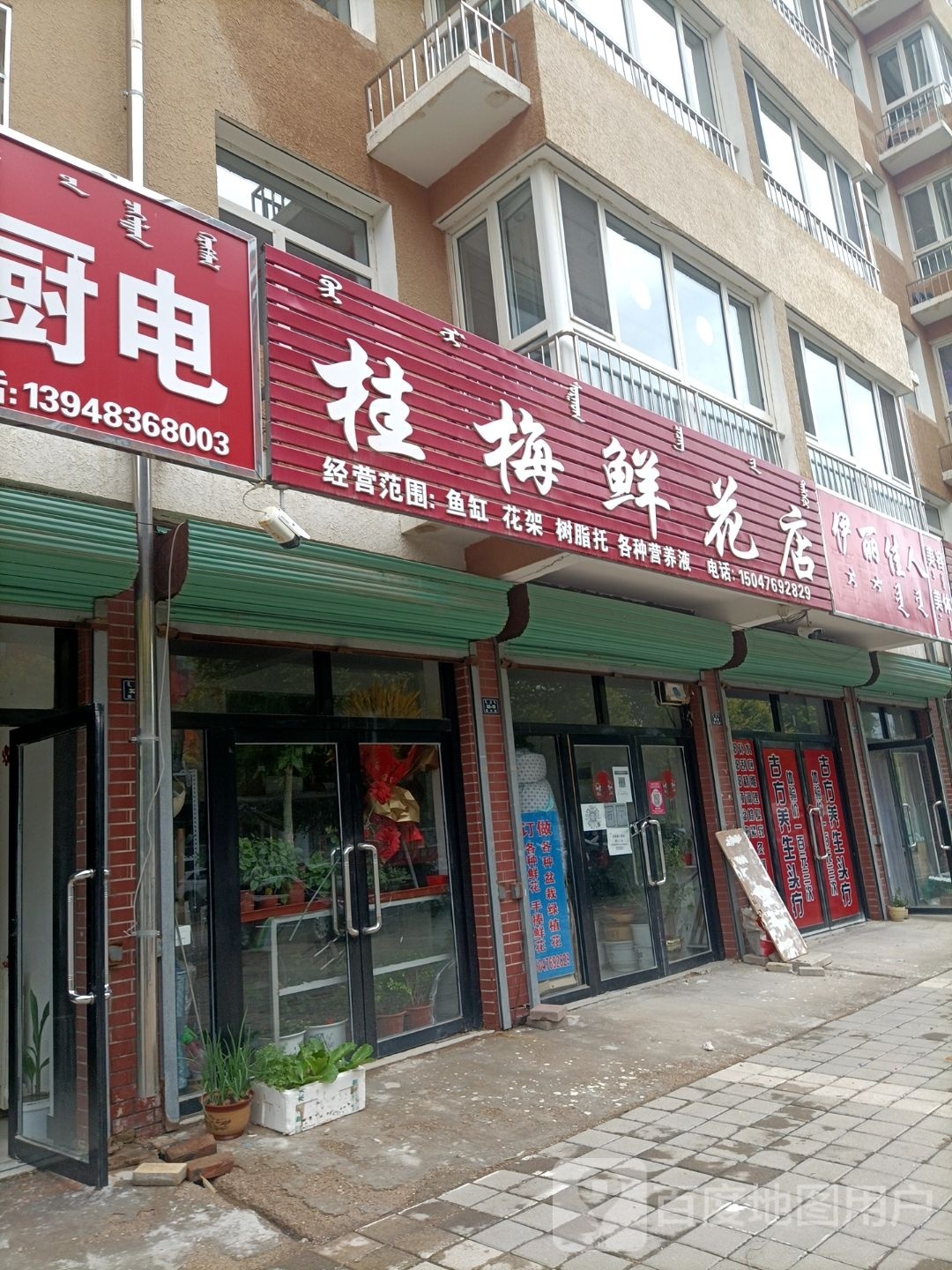 伊丽佳人美容美体