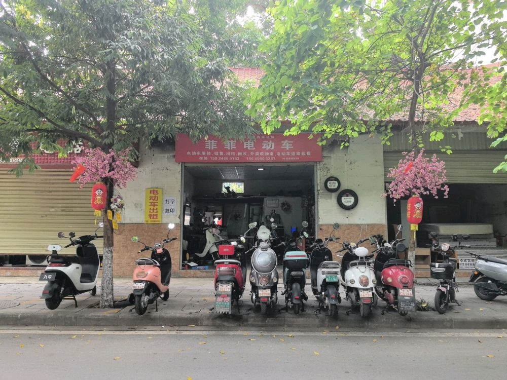 菲菲电动车