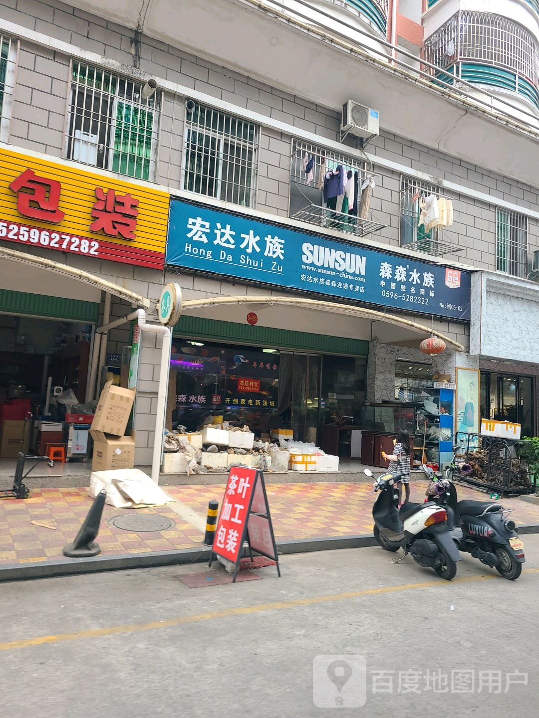 宏达水族森森四族(龙溪路店)