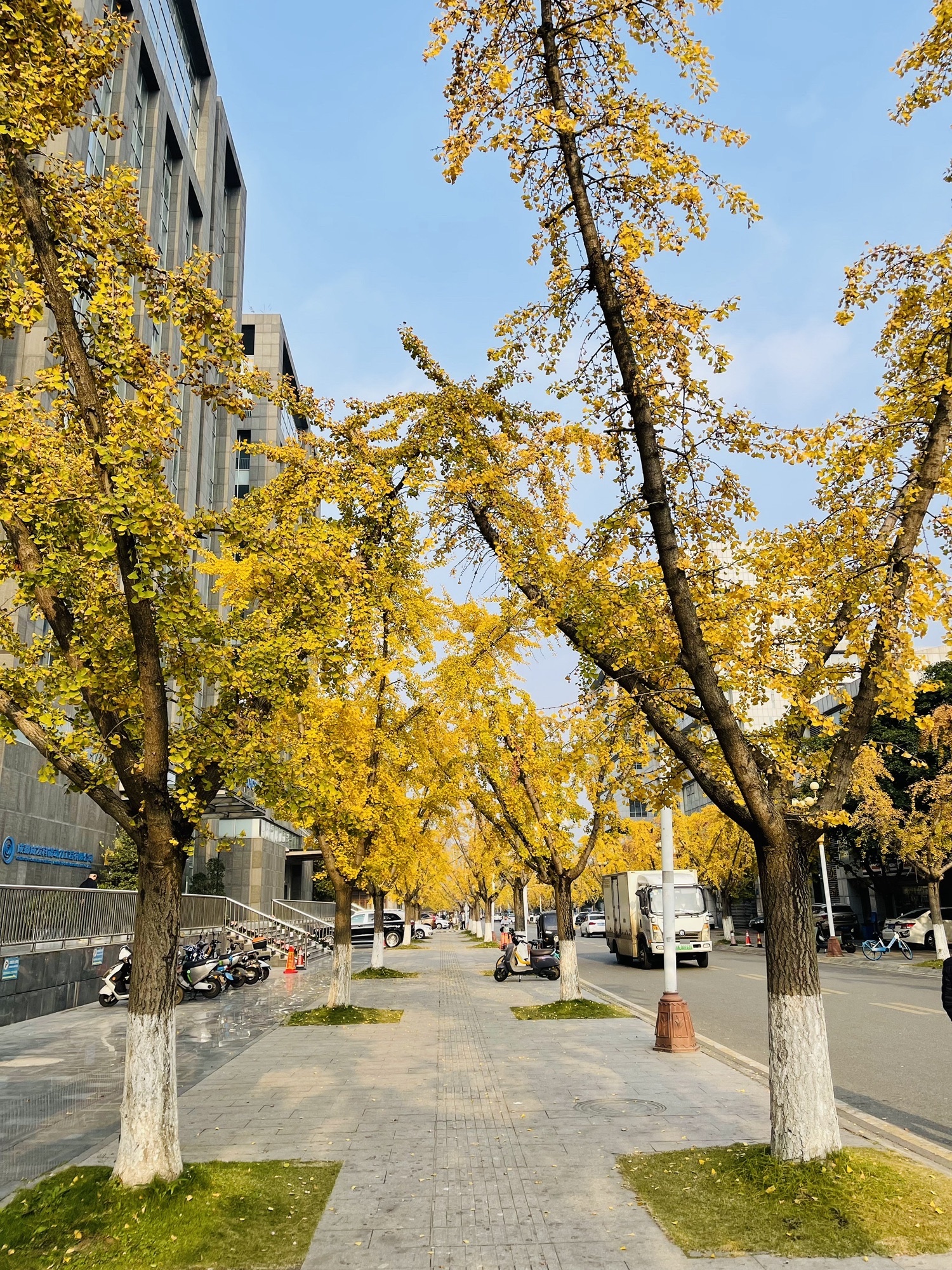龙潭水乡
