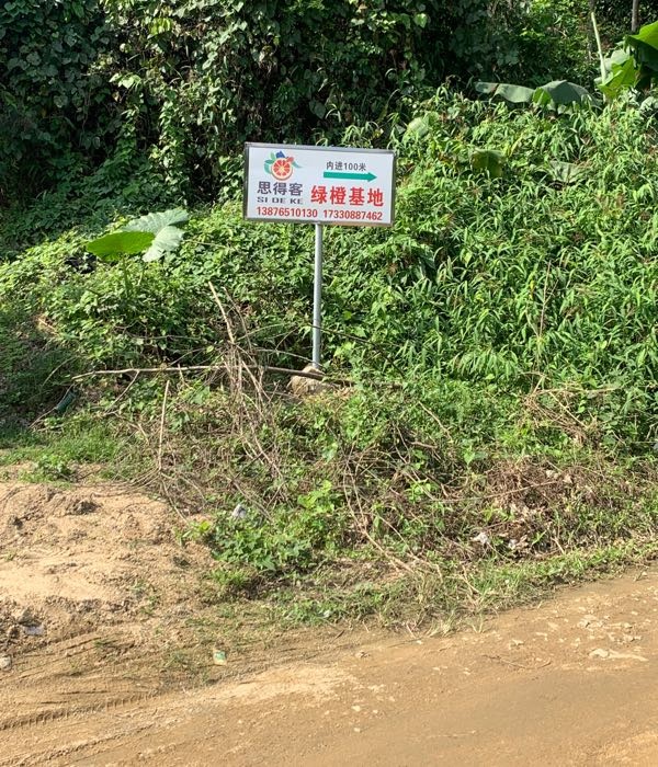 思得客绿橙基地