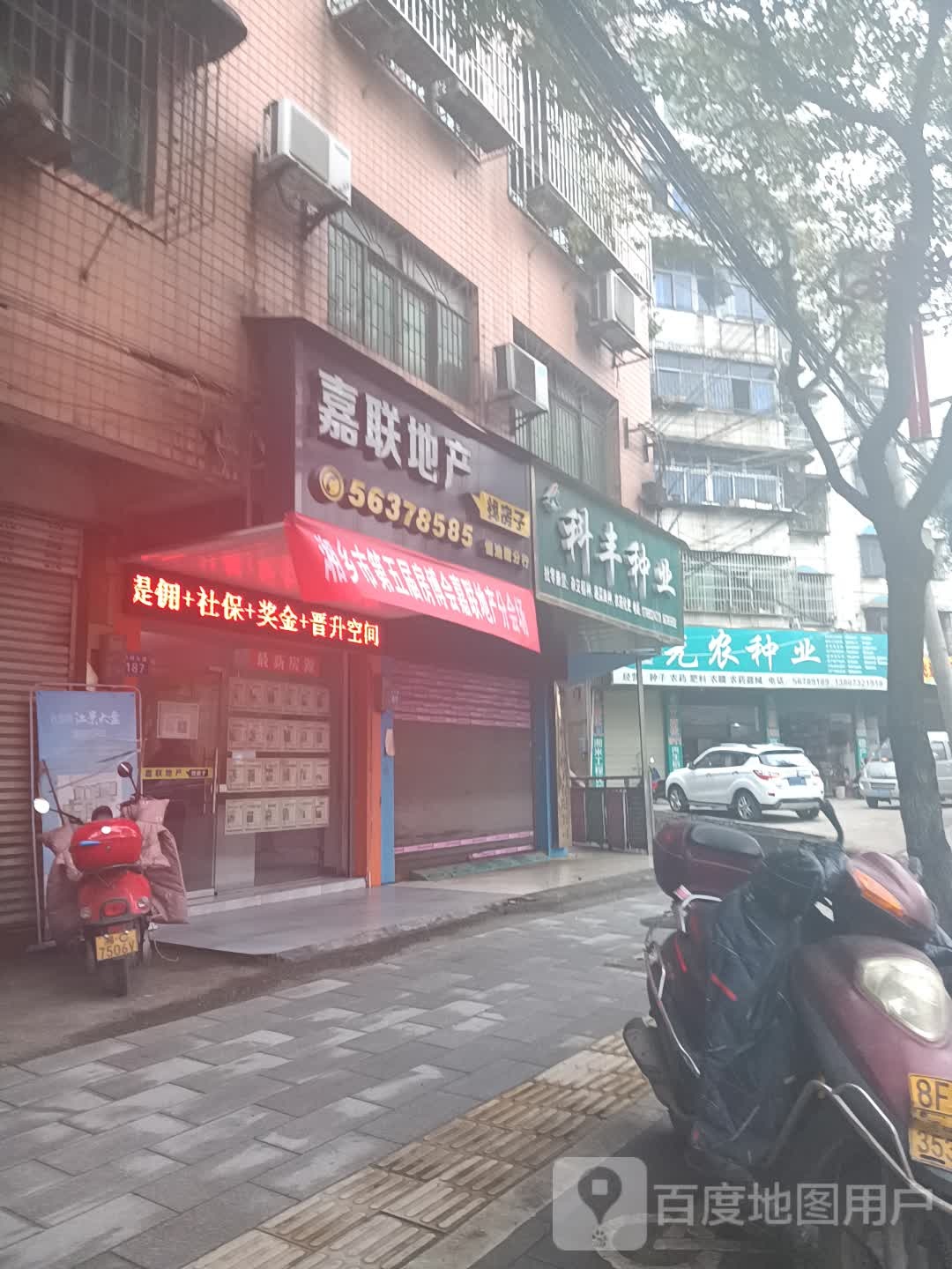 科峰种业(惜池南路店)