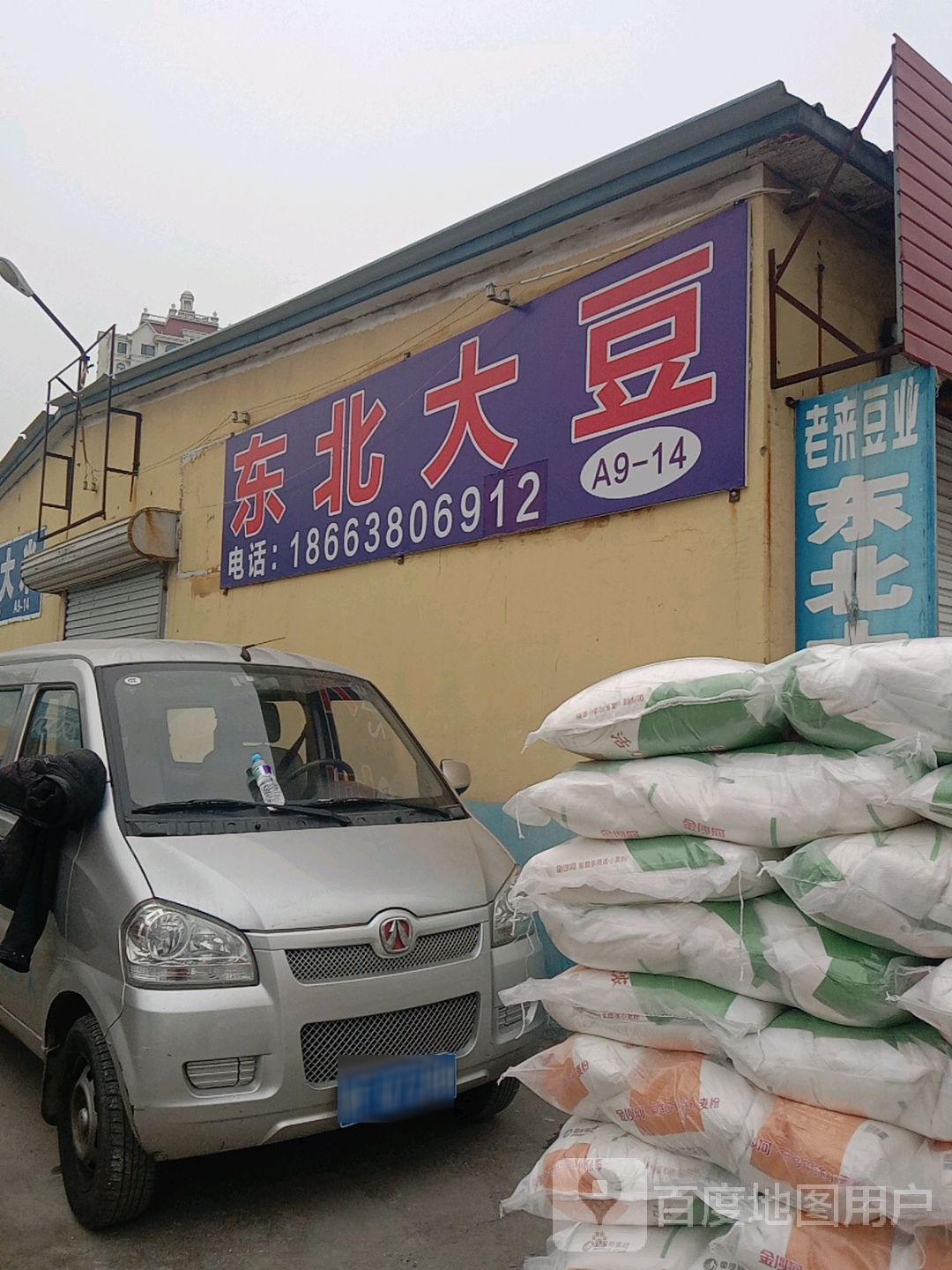 东北大豆