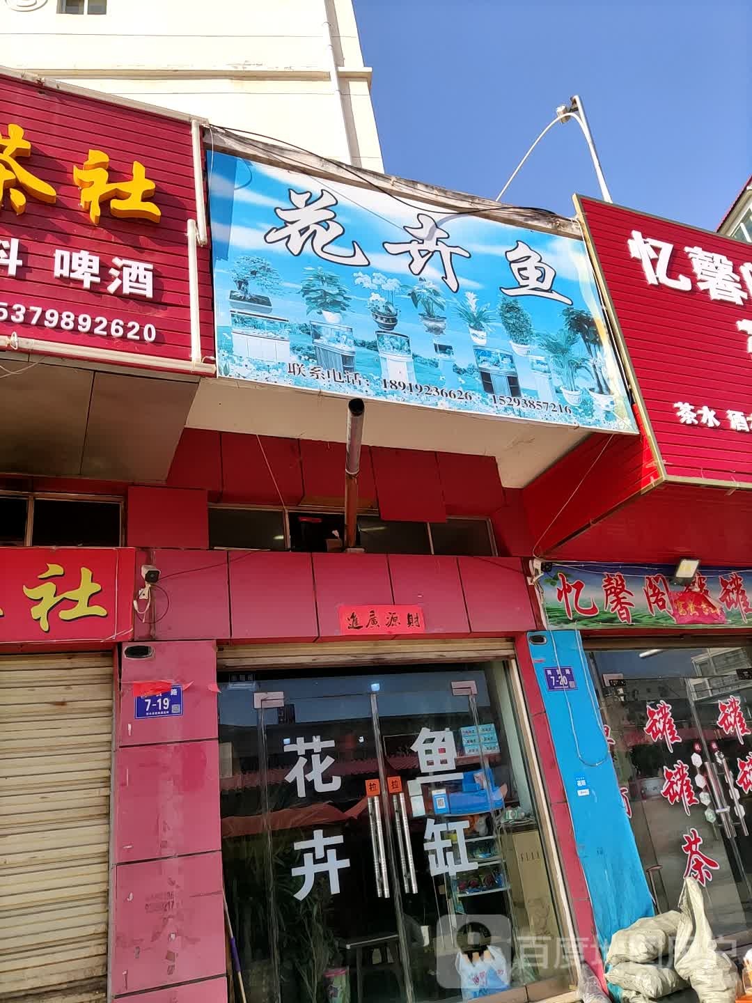 花卉鱼