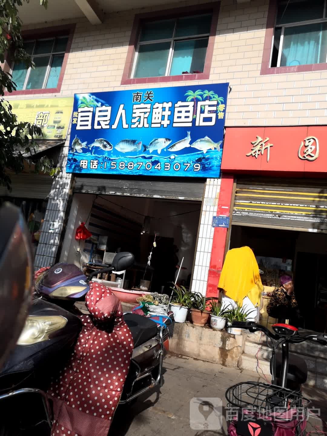 南关宜良卖鱼店