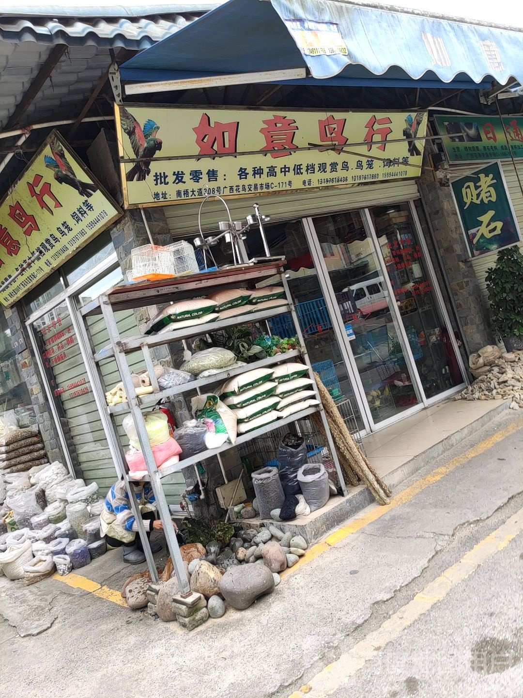 如意鸟行