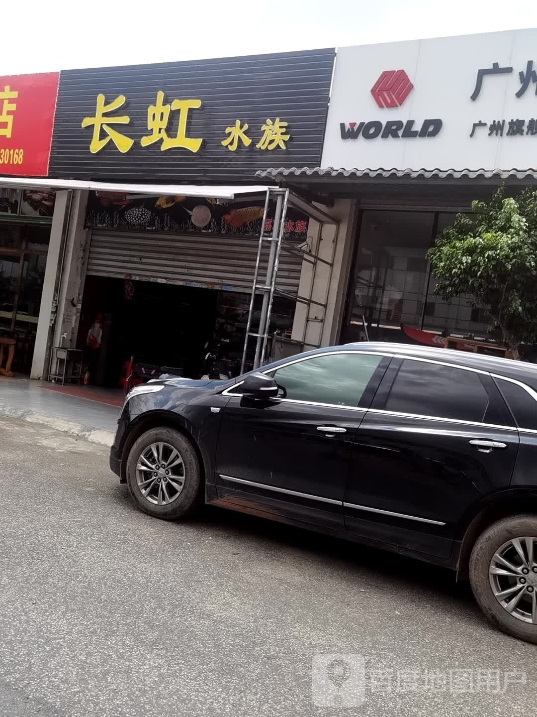 闽姜水族