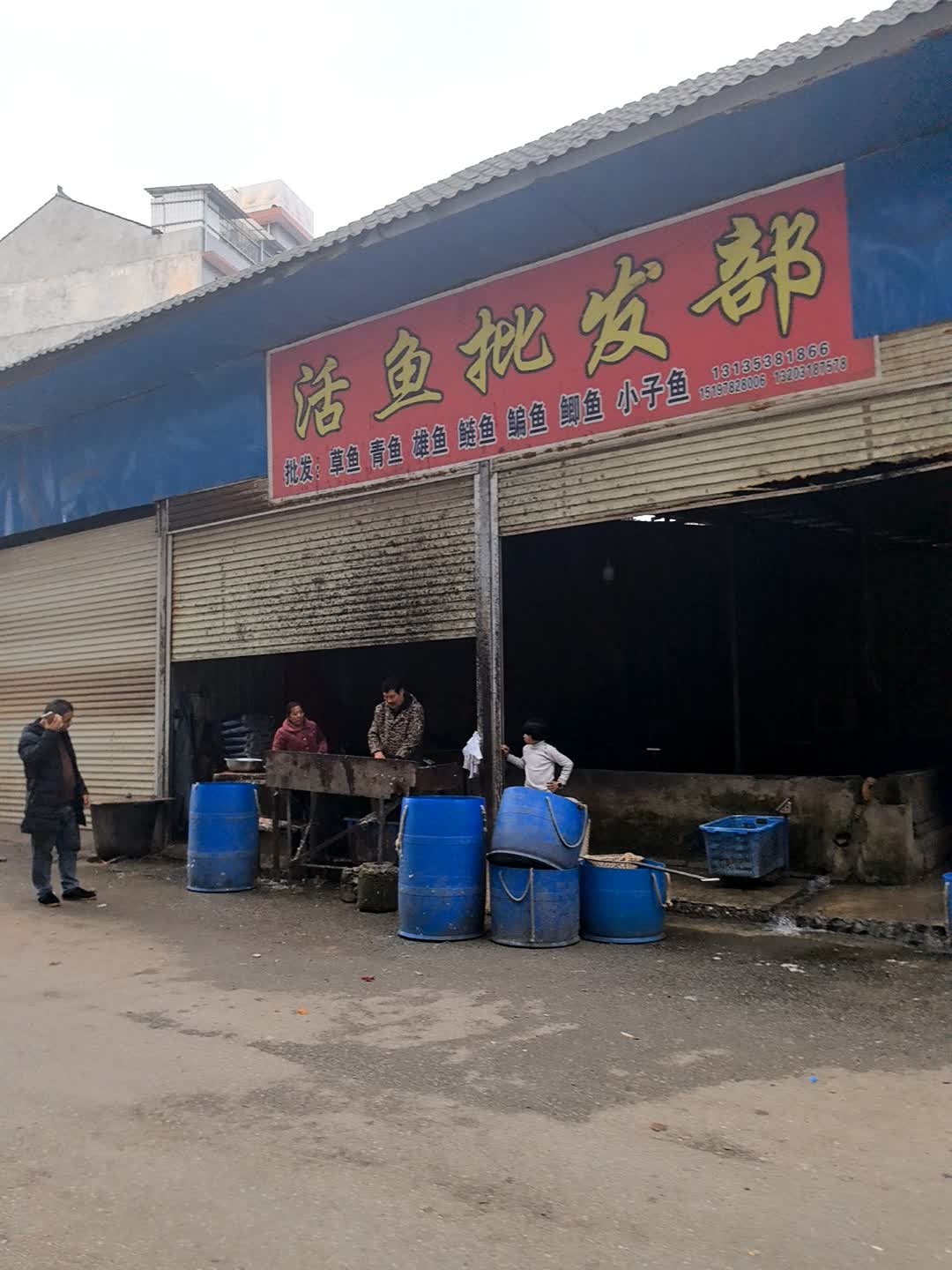 活鱼批发部