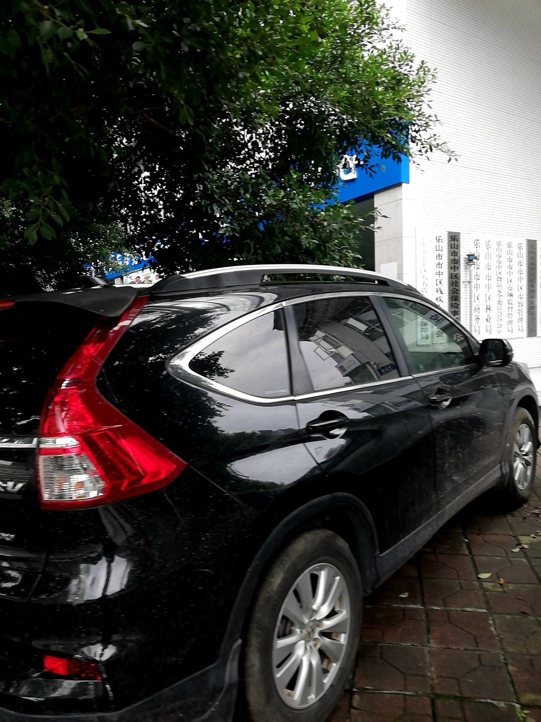 乐山市市中区市容管理局