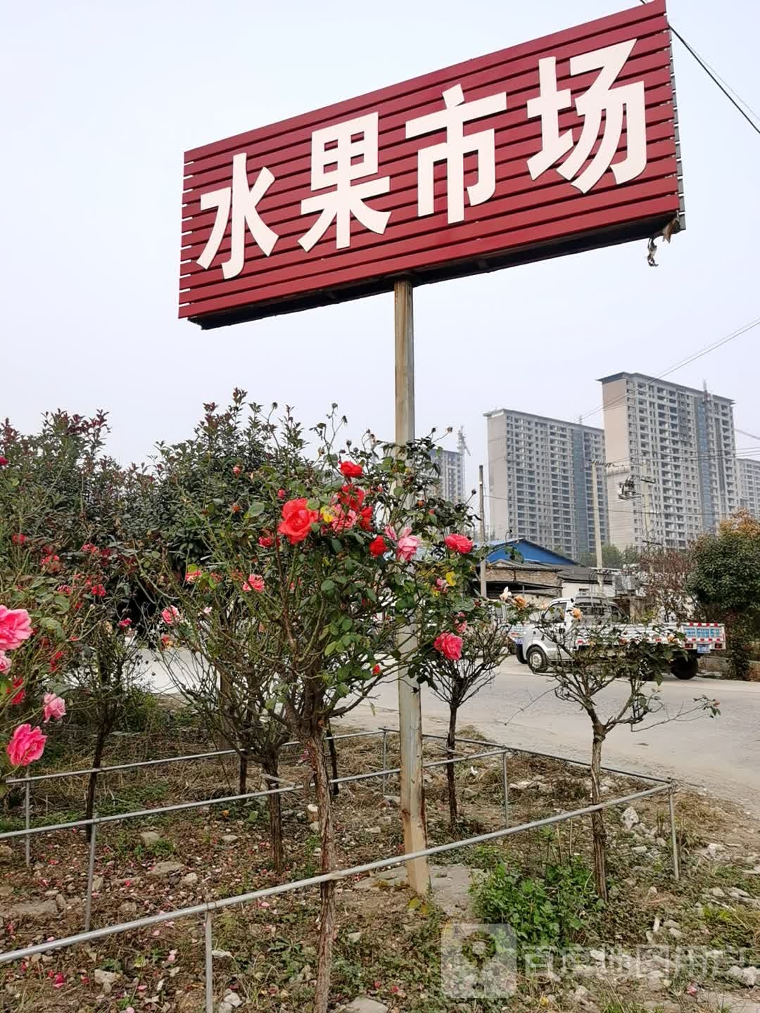 水果批发市场