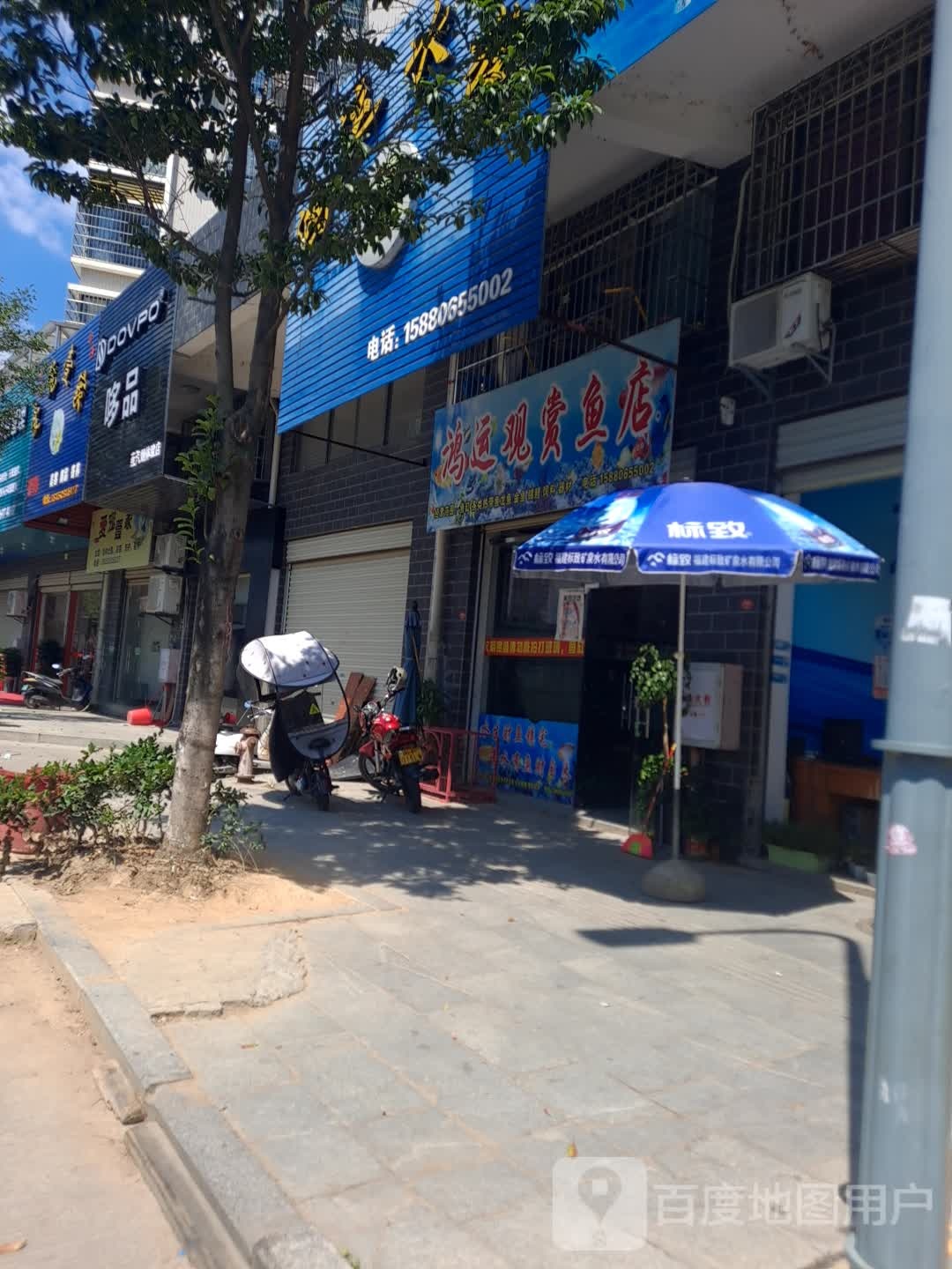 鸿运观赏雨店