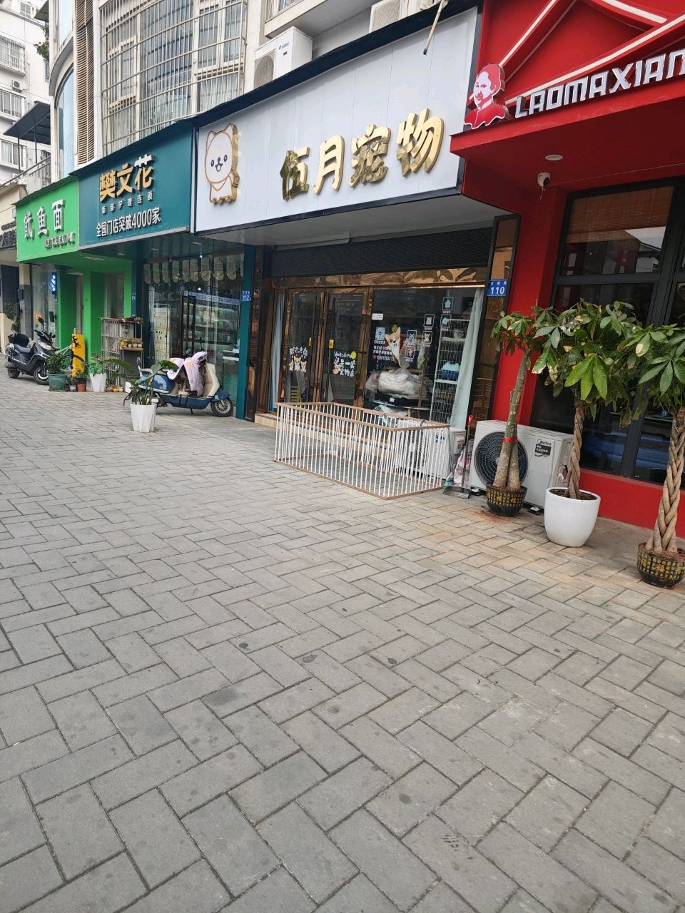 伍月宠物(恒星城东区店)