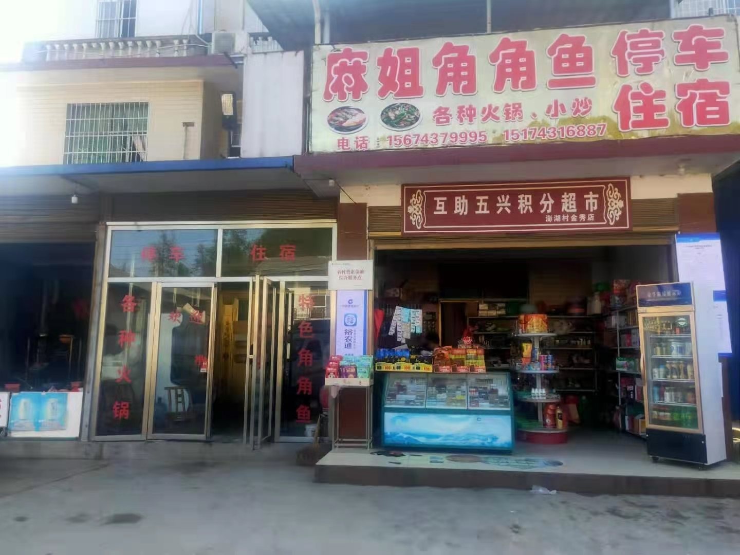 麻姐角角鱼