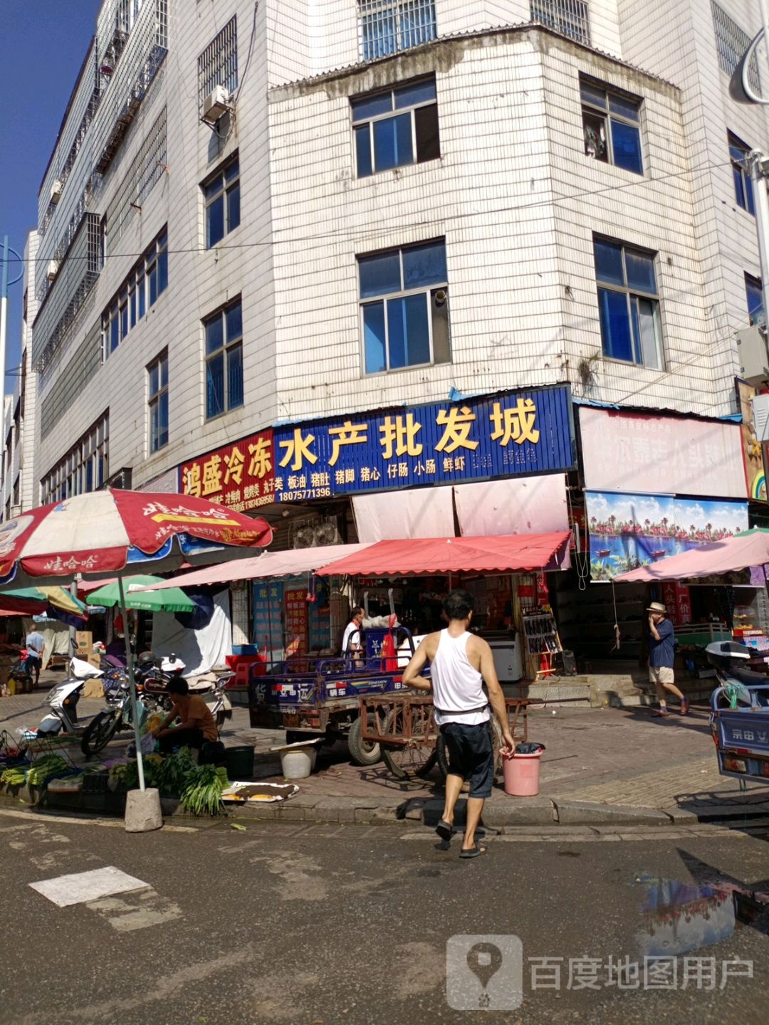 鸿盛冷冻水产批发城(永得利商业店)