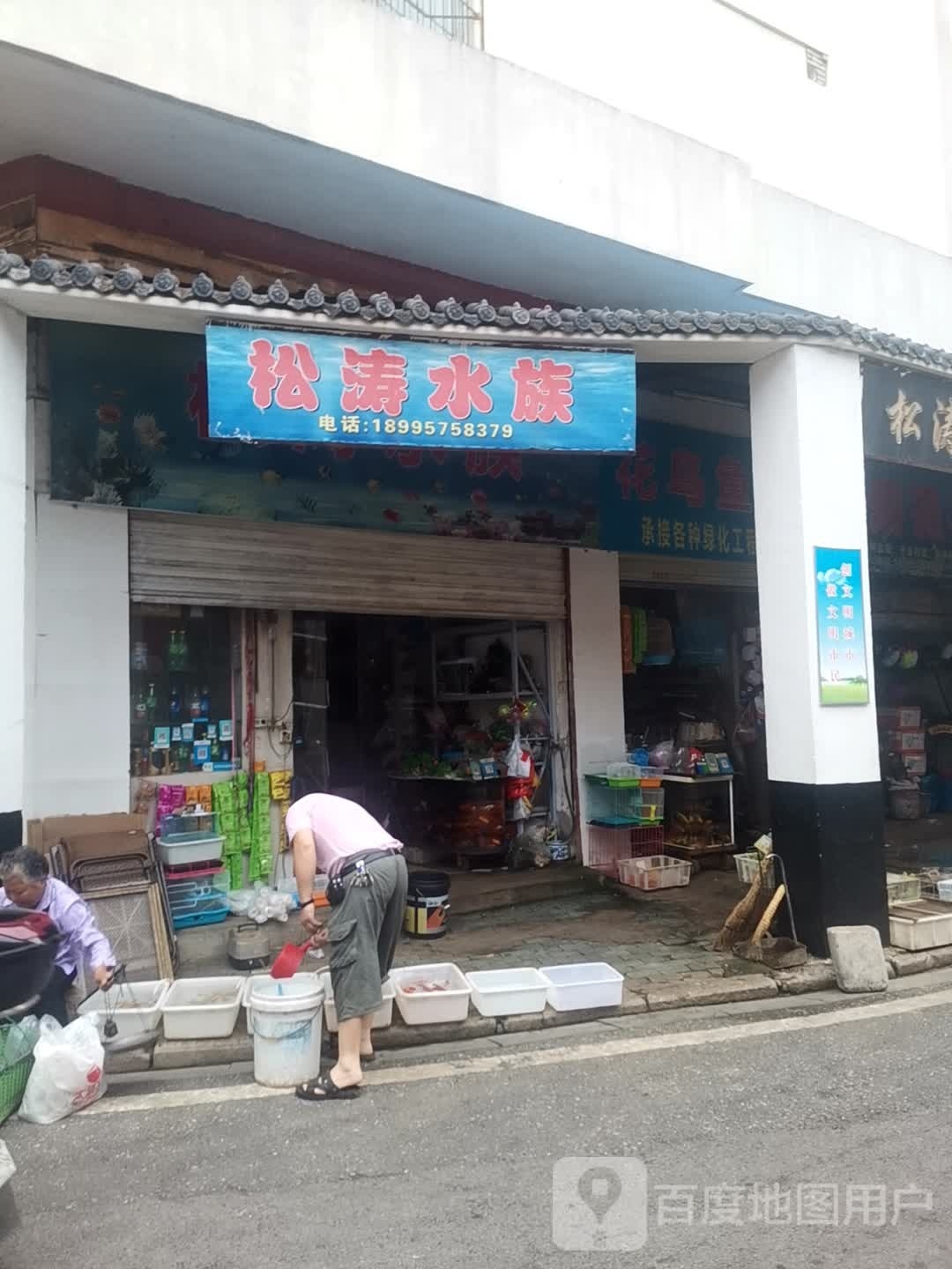 松涛水族
