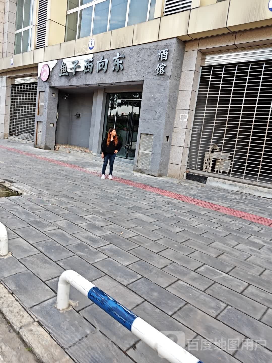 鱼子西向东酒馆