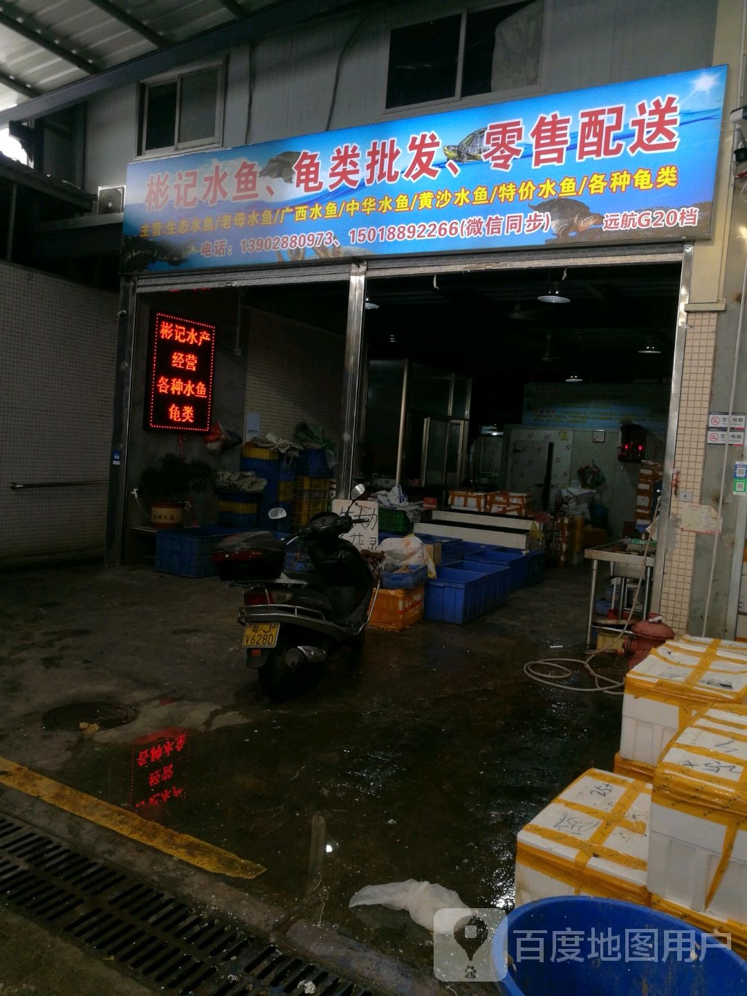 彬记水鱼龟类批发零售配送