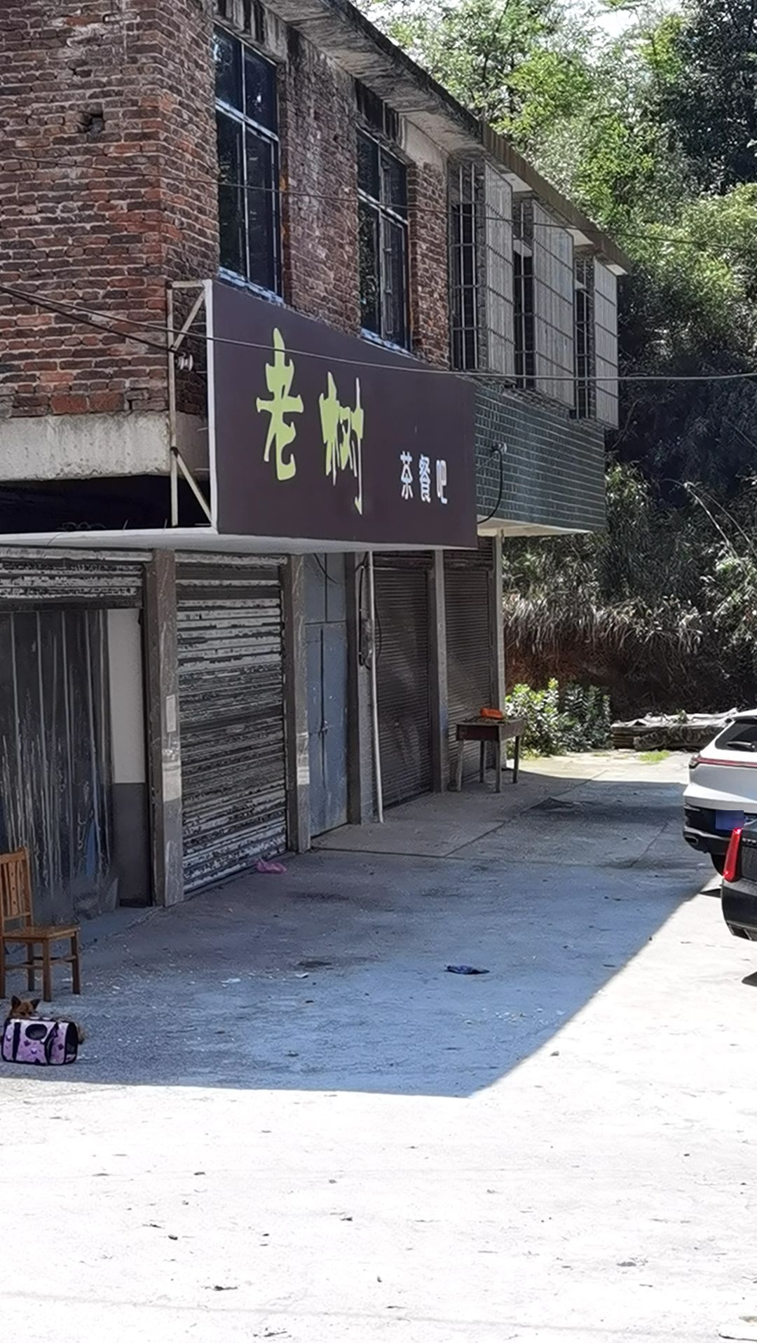 树咖啡茶餐吧