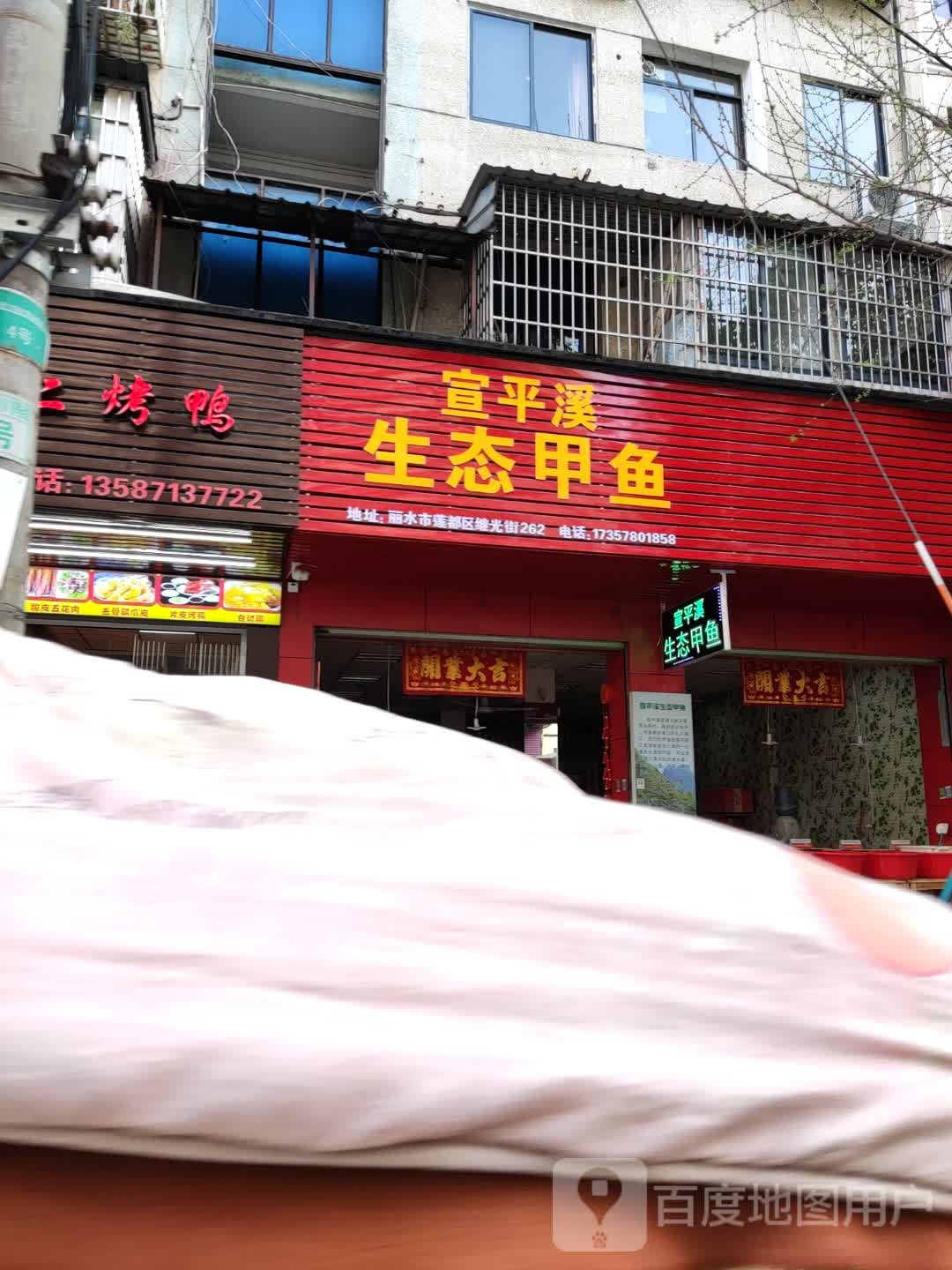 宣平溪生泰甲鱼
