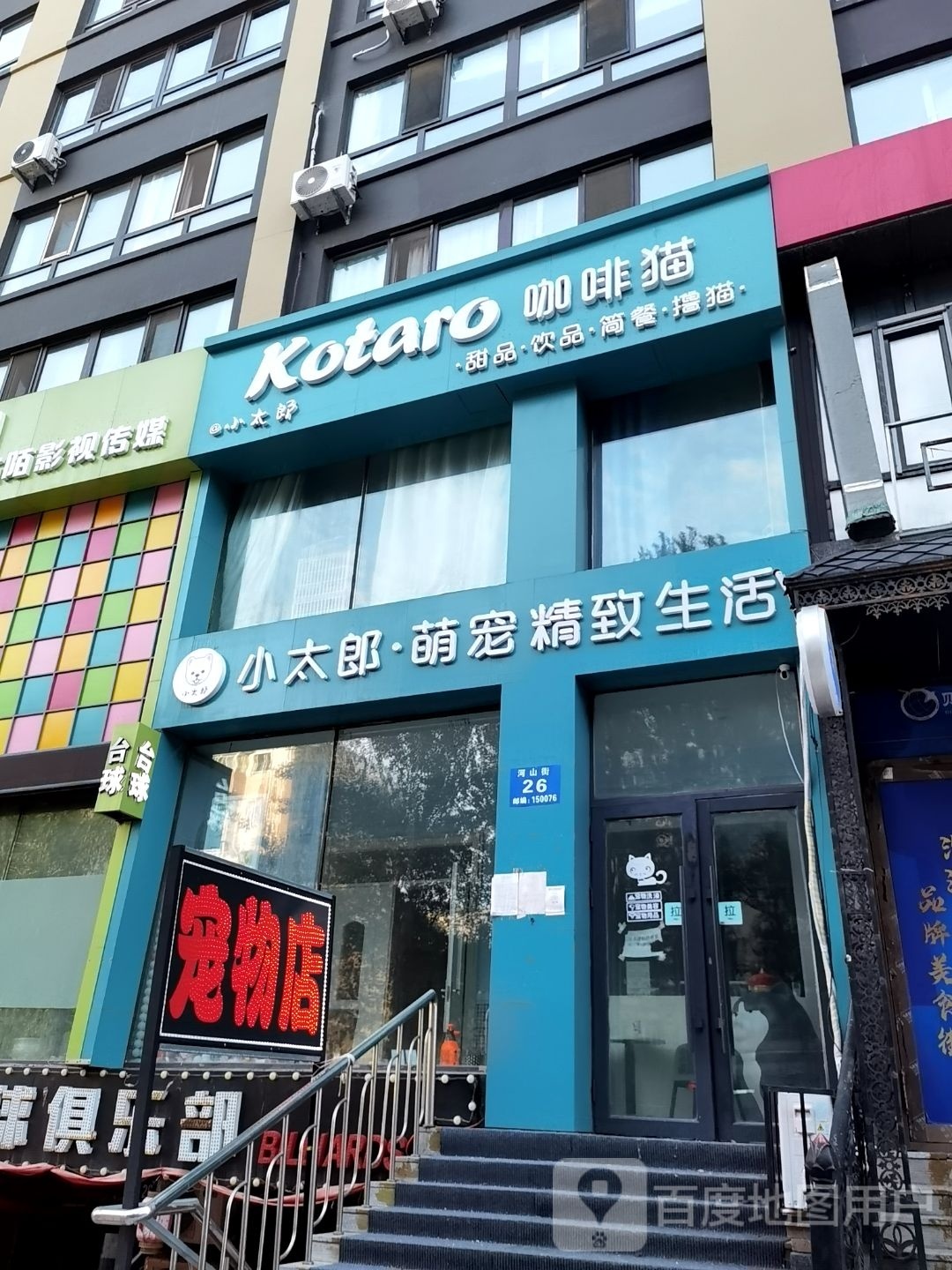 咖啡猫甜品饮品