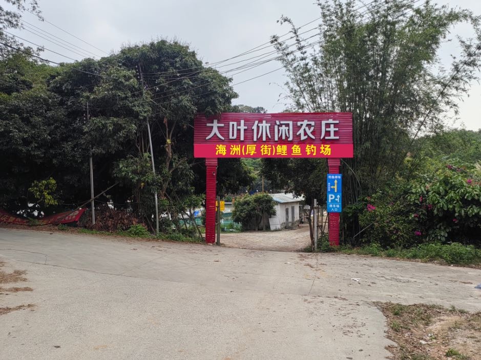 海洲(厚街)鲤鱼钓场