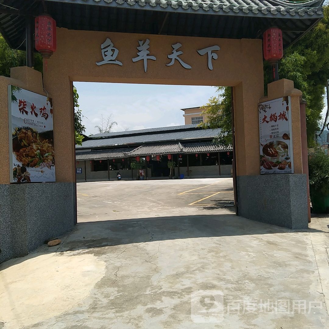 鱼杨天下