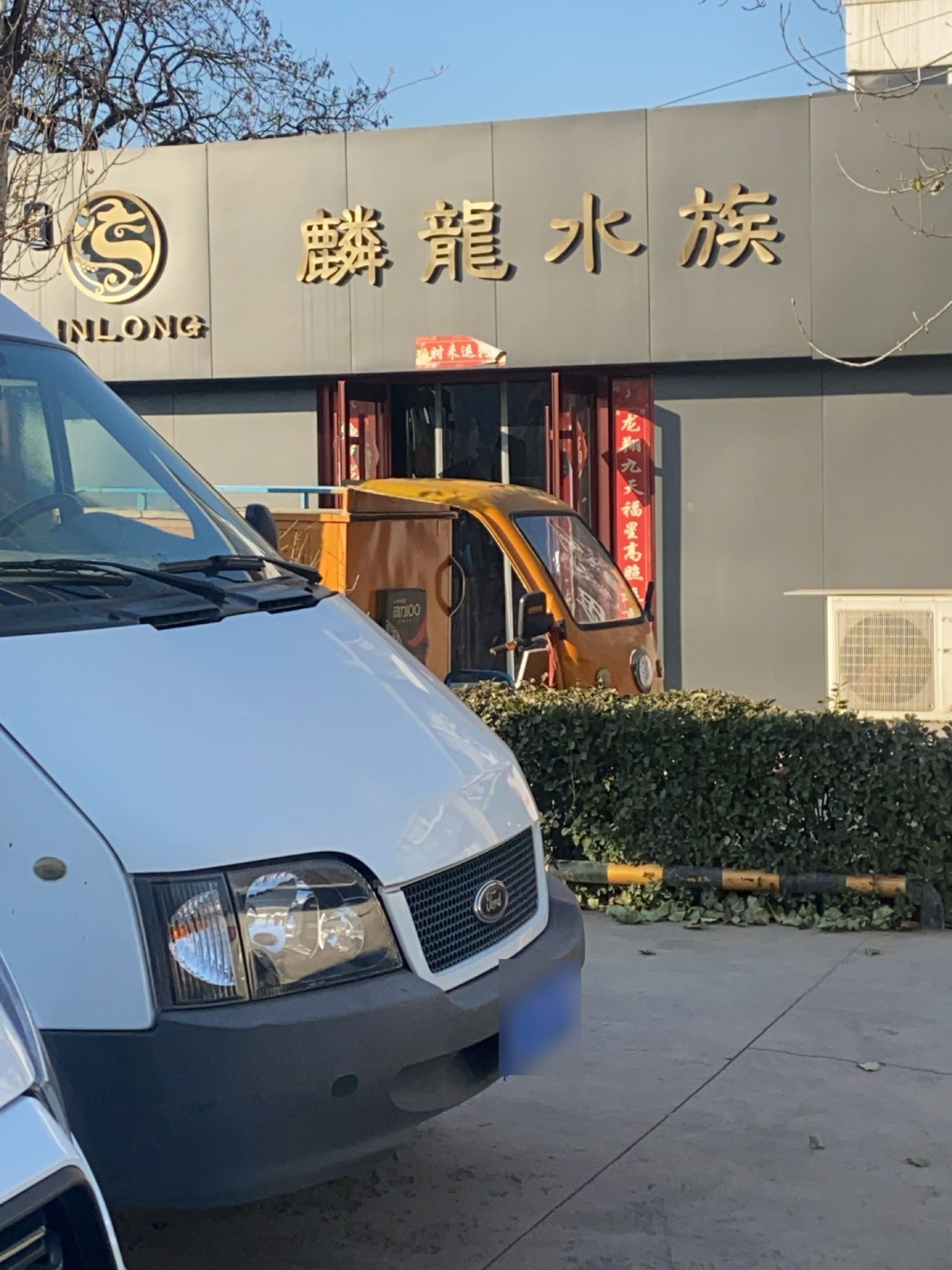 麟龙水族(阳泉店)