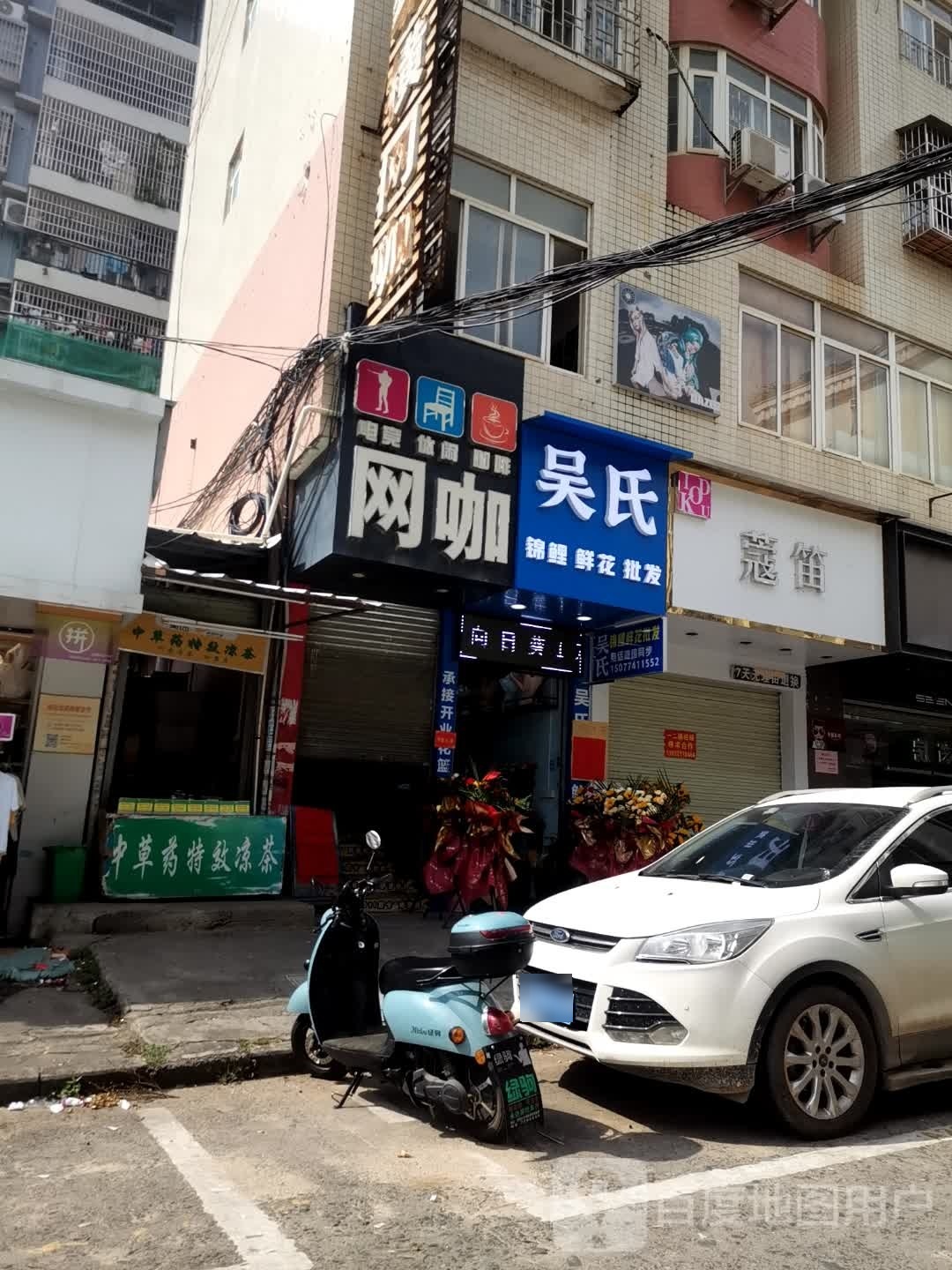 吴氏锦鲤鲜花