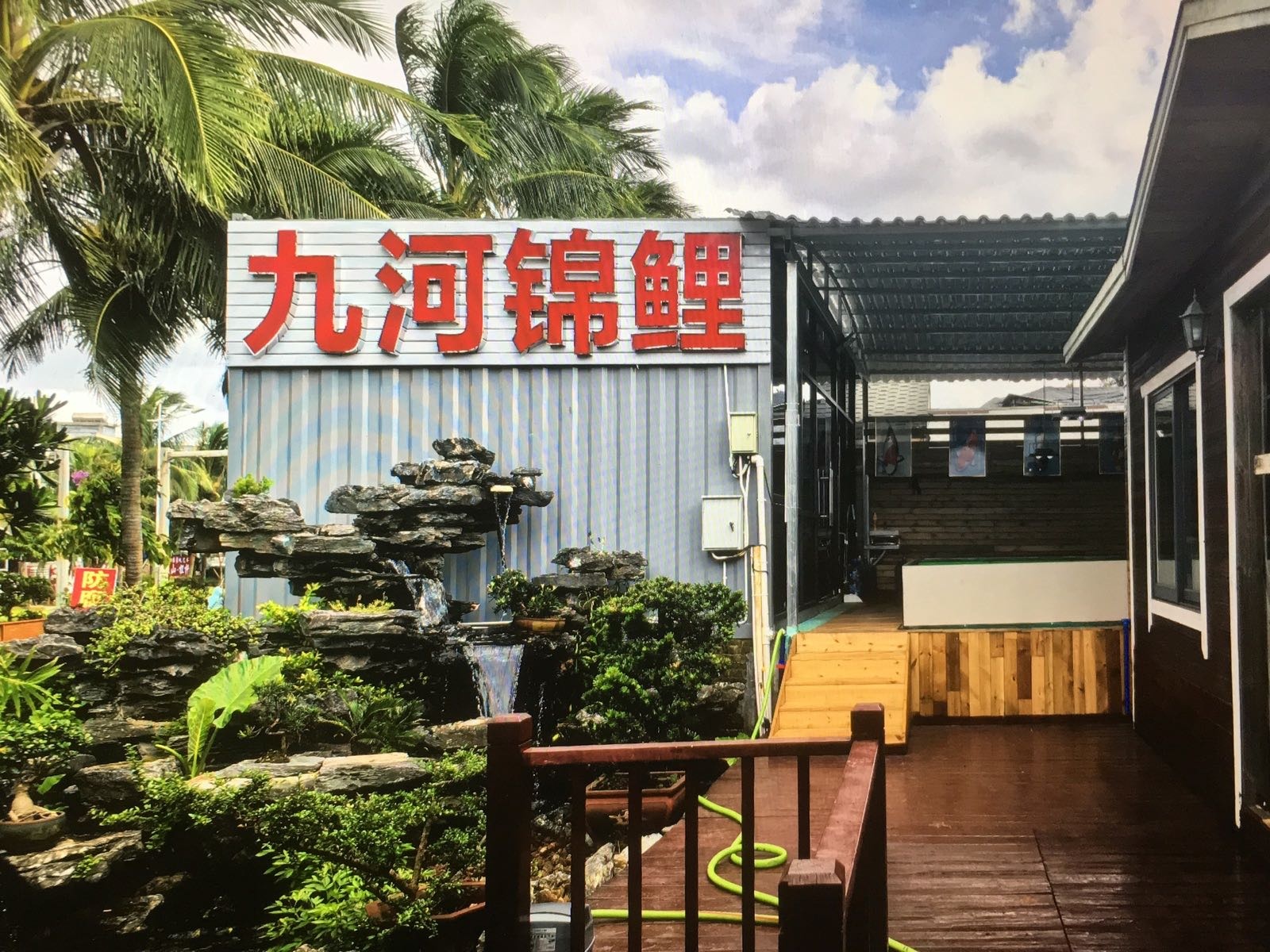 九河锦鲤宠物馆