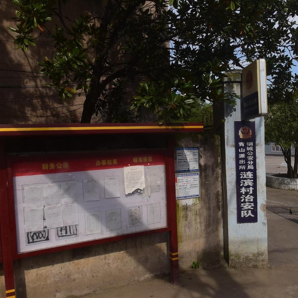青山派出所钢城公安分局涟滨村治安队