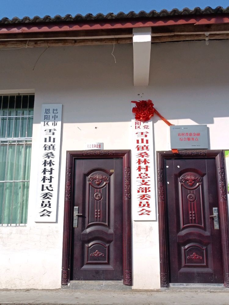 四川省巴中市恩阳区雪山镇桑林村退役军人服务站