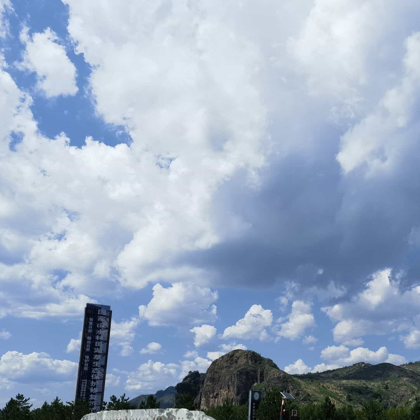 钓鱼台湿地