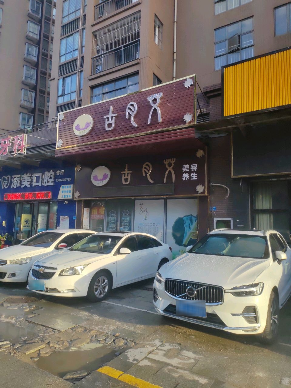 东莞市凤岗古月艾养生保健服务馆