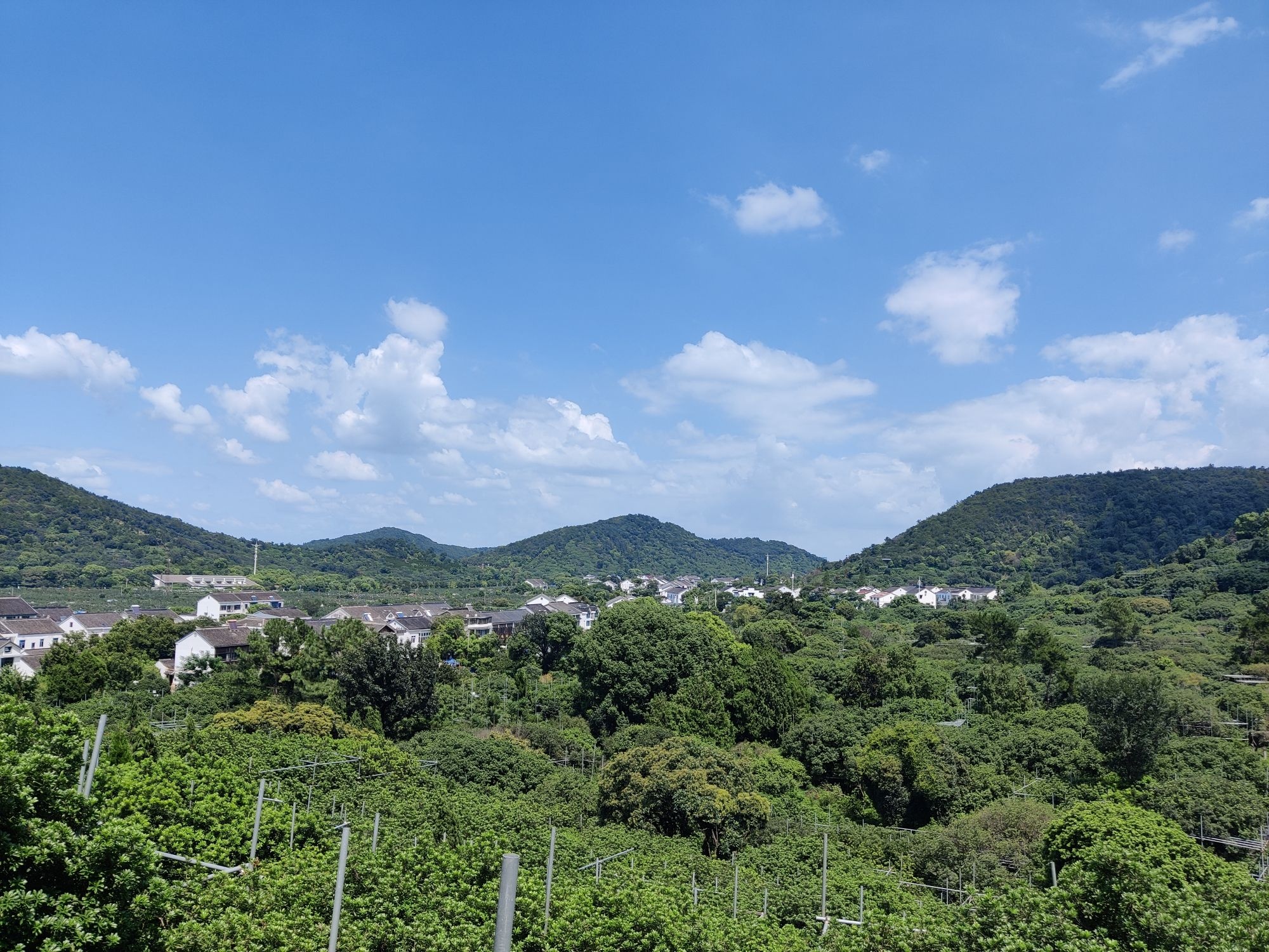 大阳山国家森林公园